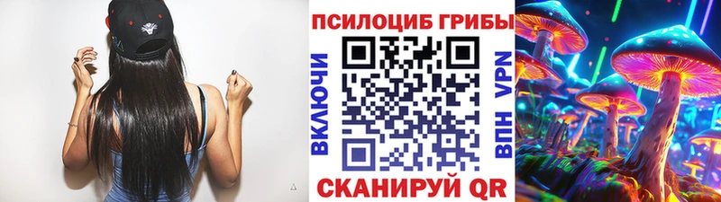 Галлюциногенные грибы мухоморы  наркота  Сусуман 